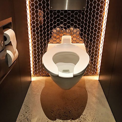 Restaurant Toilet Cubicle